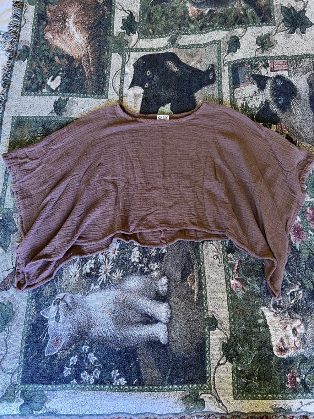 Oh My Gauze! Mauve Cropped Dolman Top